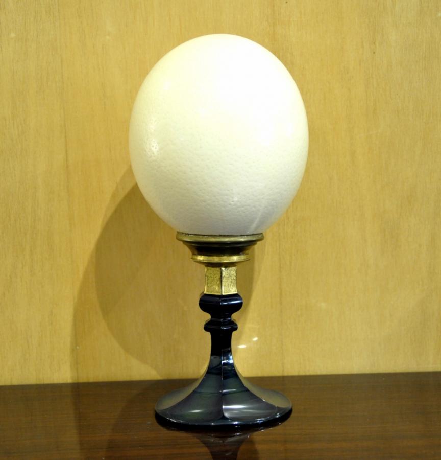 Ostrich Egg Mount Bronze & Glass, More Informations...