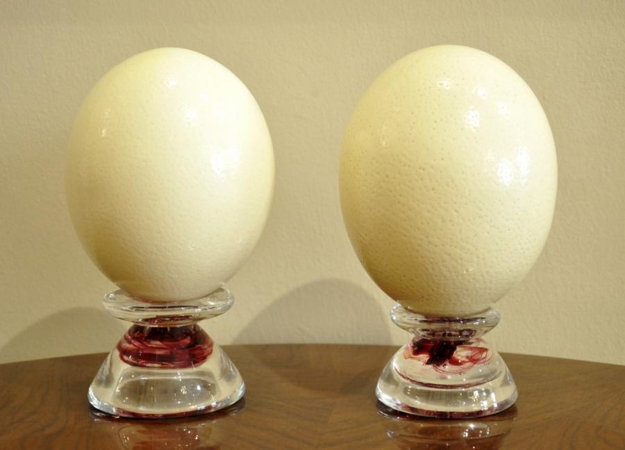 Pair Of Ostrich Eggs On Brushed Glass Supports, More Informations...