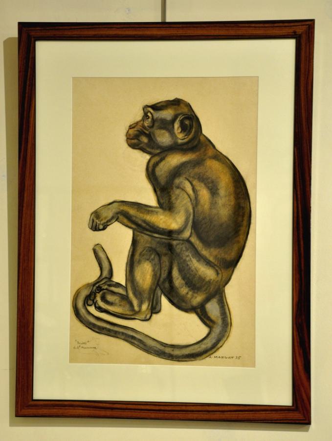 AndrÃ© MARGAT DESSIN PASTEL SINGE ART DECO 1935, Plus d'infos...